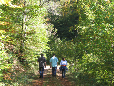 Nature et balades Natuur en wandelingen